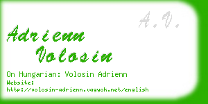 adrienn volosin business card